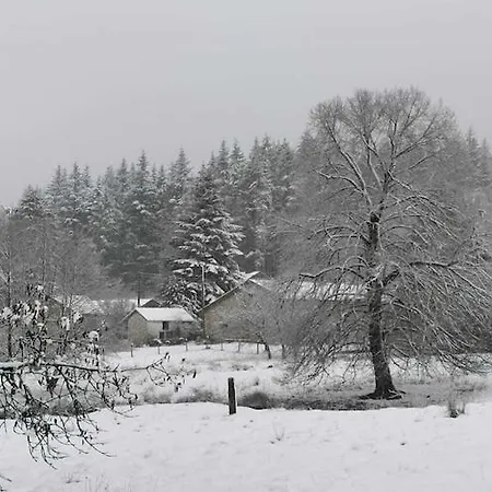 Forest-edge Stay, Burtonville, Cleaning Included Holiday home
